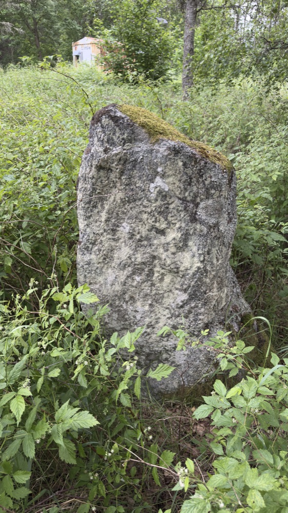 Aufgerichteter Stein eines vorgeschichtlichen Gräberfelds in einer Wiese bei Hästveda