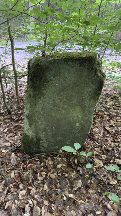 Aufrechter, moosbedeckter Reststein im Buchenwald bei Hästveda, Skåne