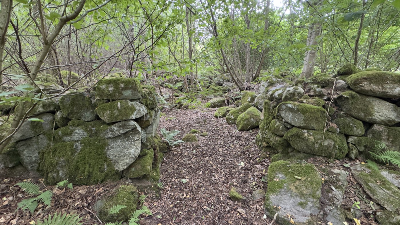 Alter Hohlweg zwischen zwei moosbewachsenen Trockensteinmauern im Wald