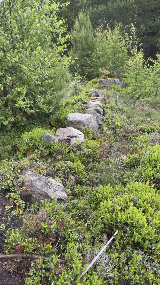 Linie aus Steinen im Wald — Fundament eines vorgeschichtlichen Hausgrunds bei Osby