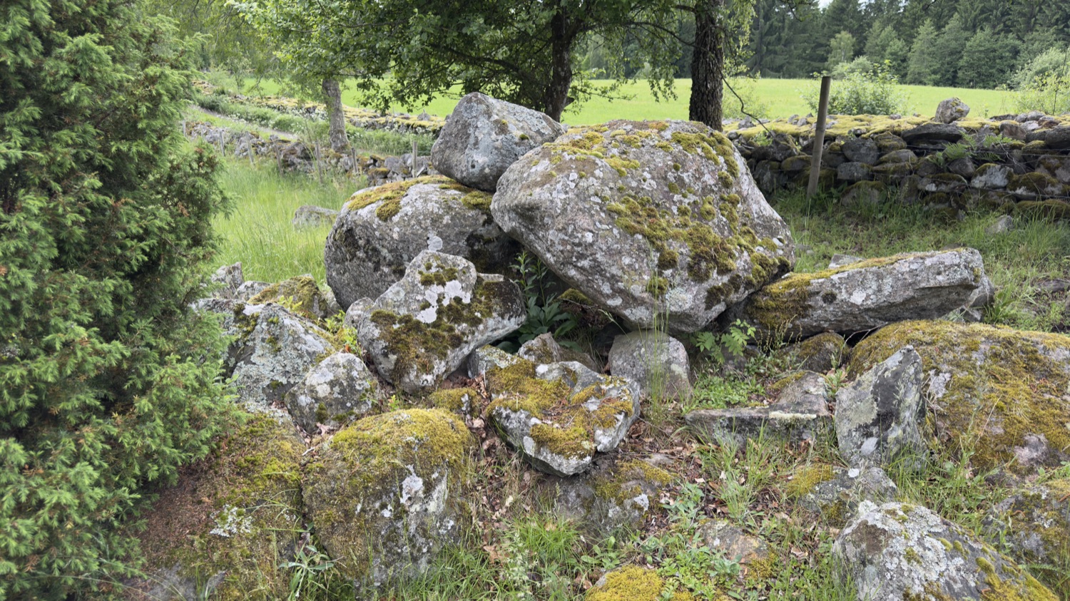 Mit Flechten bewachsene Grabsteine des Gräberfelds Östra Broby, dahinter eine Trockenmauer und grüne Weide
