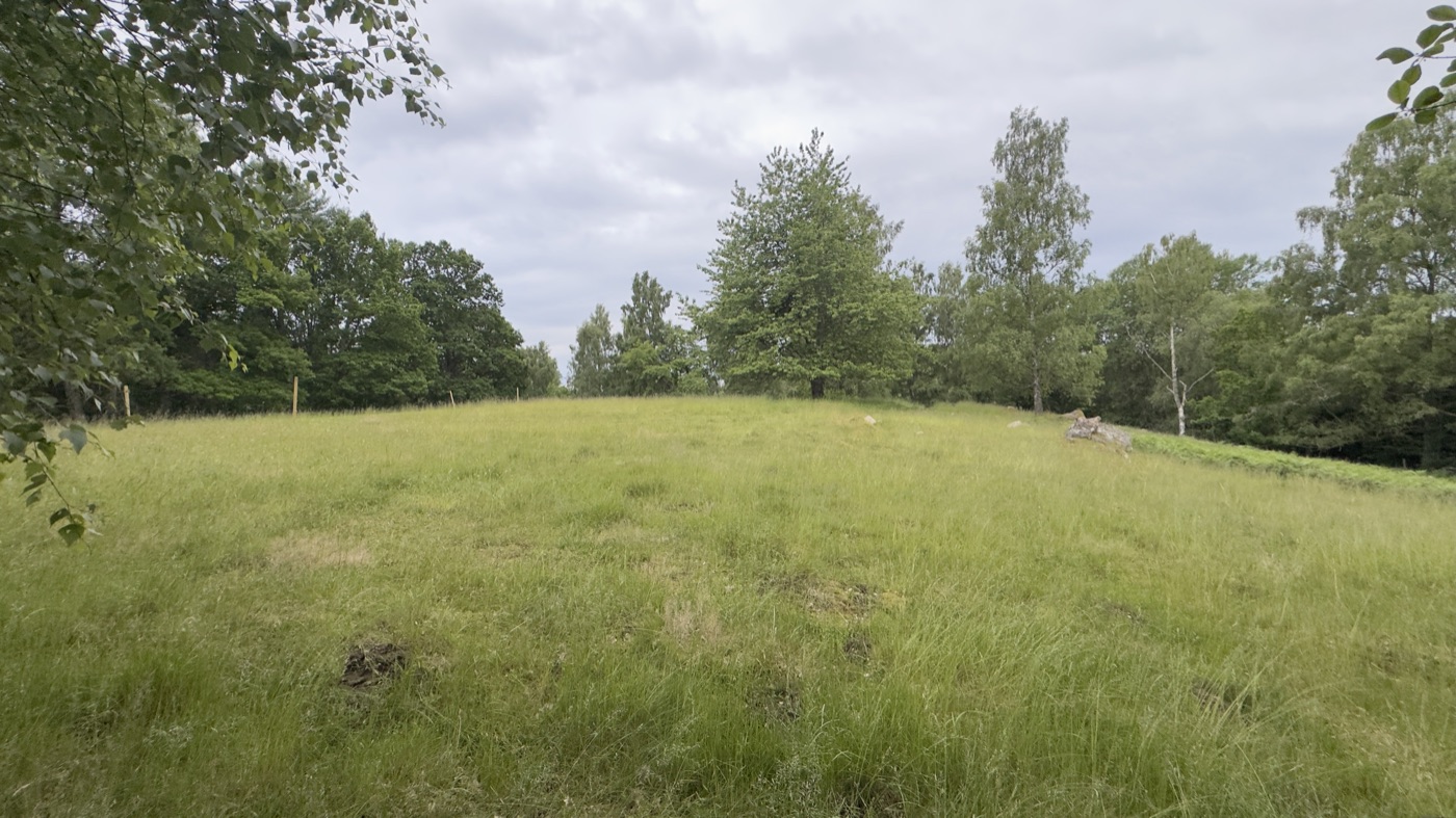 Offene Wiese bei Hästveda — Standort eines aufgelassenen Pestfriedhofs