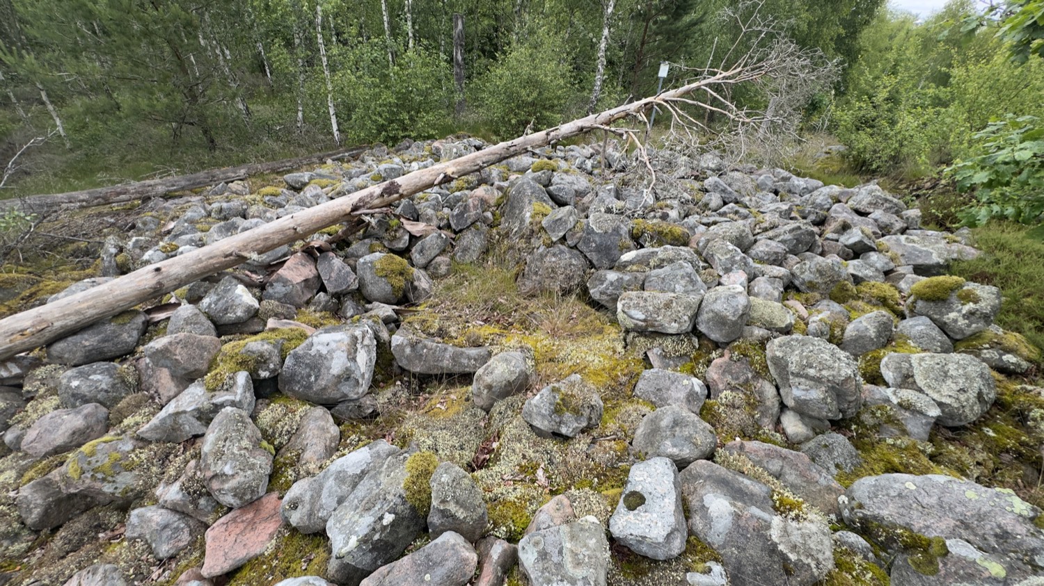 Große Steinsetzung (Röse) aus grauen Felsbrocken mit umgestürztem Baumstamm