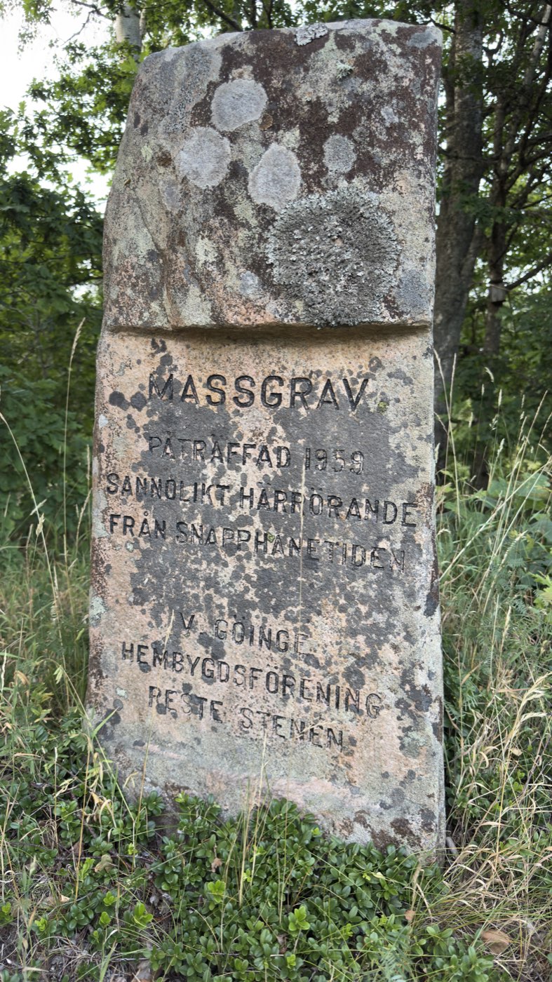 Flechtenbedeckter Granit-Gedenkstein mit der Inschrift MASSGRAV PÅTRÄFFAD 1959