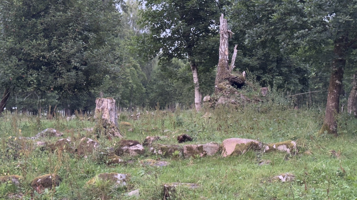 Grasbewachsene Lichtung mit einer Linie aus Steinen — Hausgrund der alten Hofstelle Sjötorp